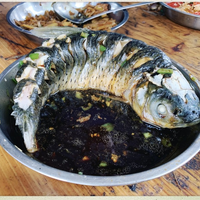 清蒸草魚